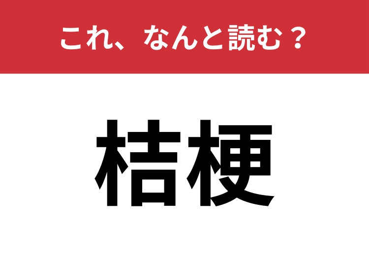 【桔梗】はなんと読む？花の漢字に詳しくなりましょう！