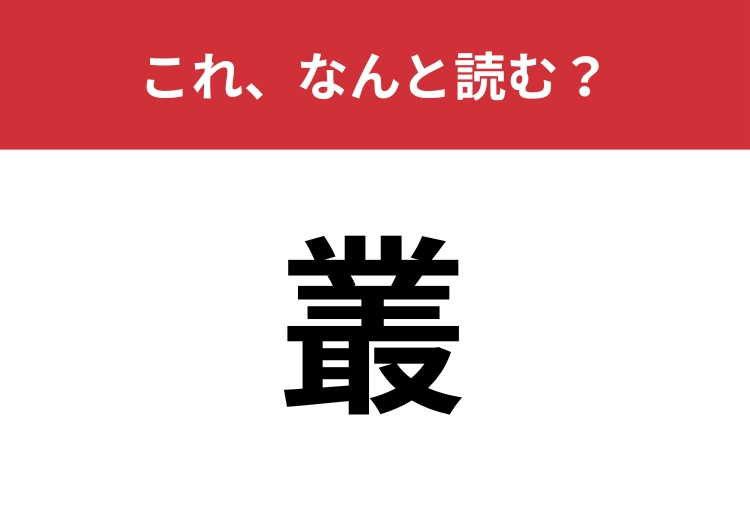 【叢】はなんと読む？四文字で読みます！