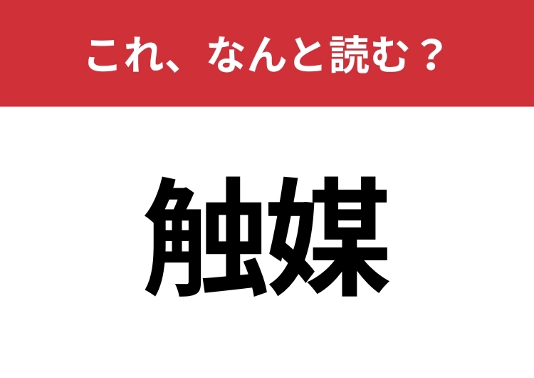 【触媒】はなんと読む？意外と知らないその読み方！のメイン画像