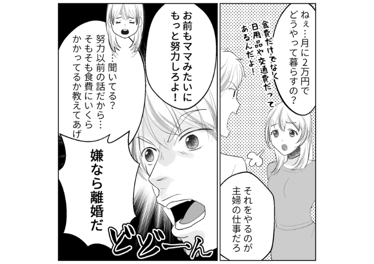 後編／「食費に毎月5,000円以上かけるなんて主婦失格」義母の節約術を勘違いしたまま、私に強要するマザコン夫！当時とは前提も当時の物価も違うことを夫に説明しても逆ギレするので・・・のメイン画像
