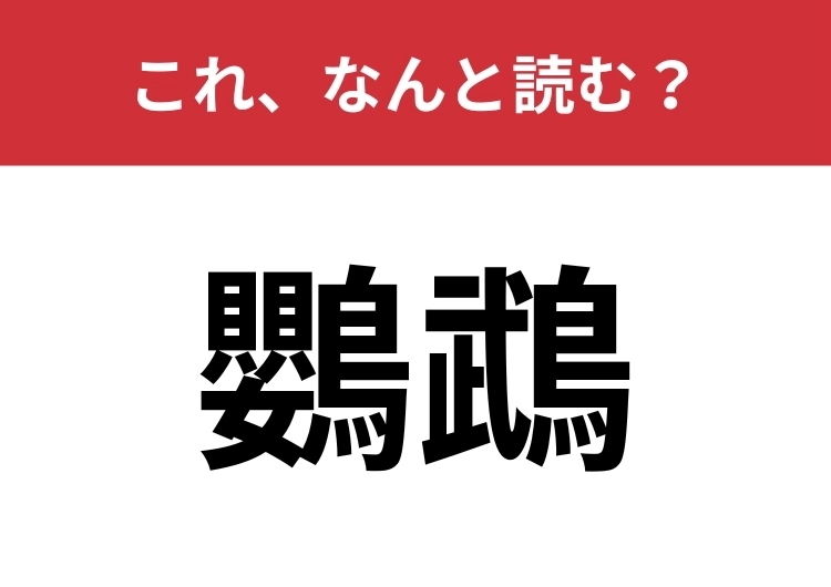 【鸚鵡】はなんと読む？大人なら分かってほしい！のメイン画像