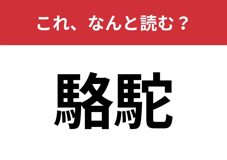 【駱駝】はなんと読む？砂漠にいる動物です！のメイン画像