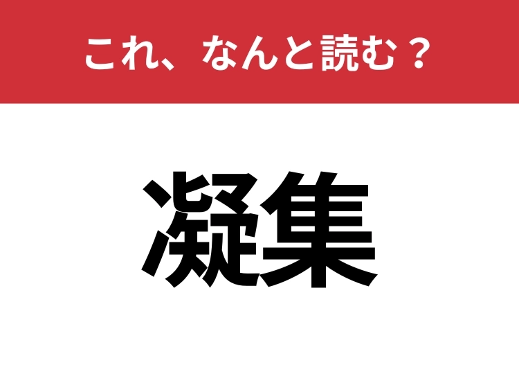 【凝集】はなんと読む?大人なら読みたい!のメイン画像