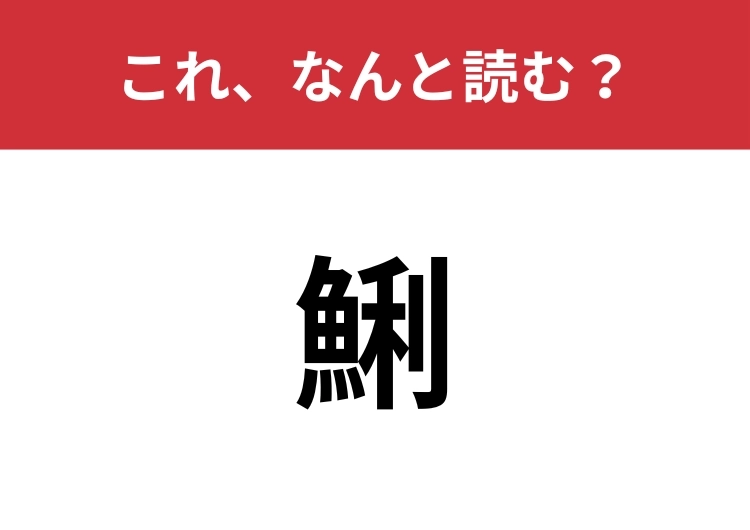 【鯏】はなんと読む？魚へんですが、魚ではなく貝！のメイン画像