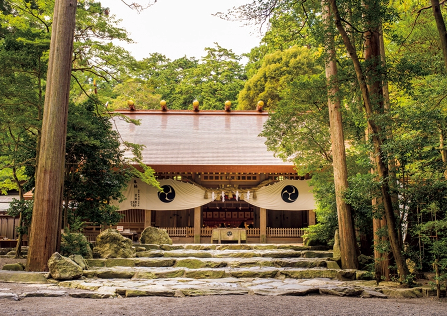 【李家幽竹先生監修】迷いやストレスを断ち切ってパワーをチャージ!2025年夏おすすめパワースポット2選のメイン画像