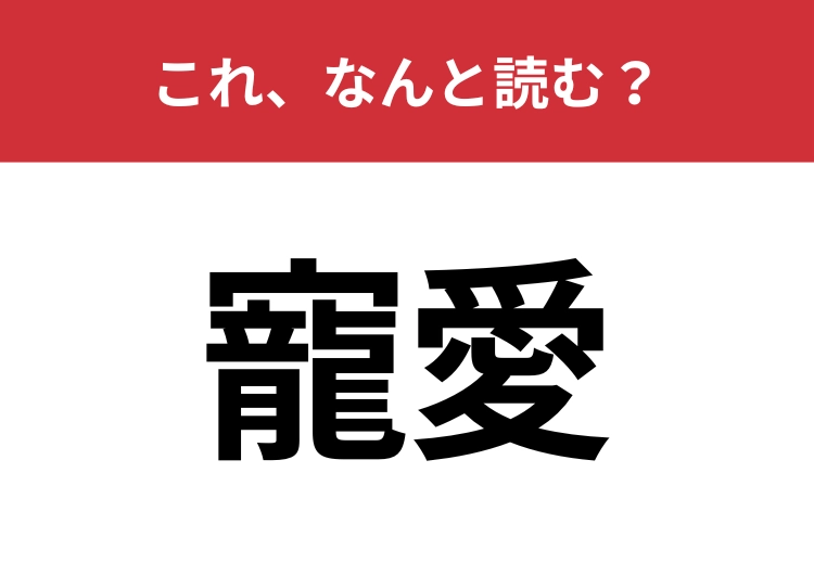 【寵愛】はなんと読む？大切にされることを指す言葉！