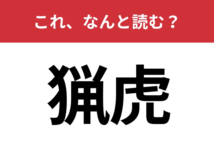 【猟虎】はなんと読む？日本では3頭しかいないあの可愛い動物！