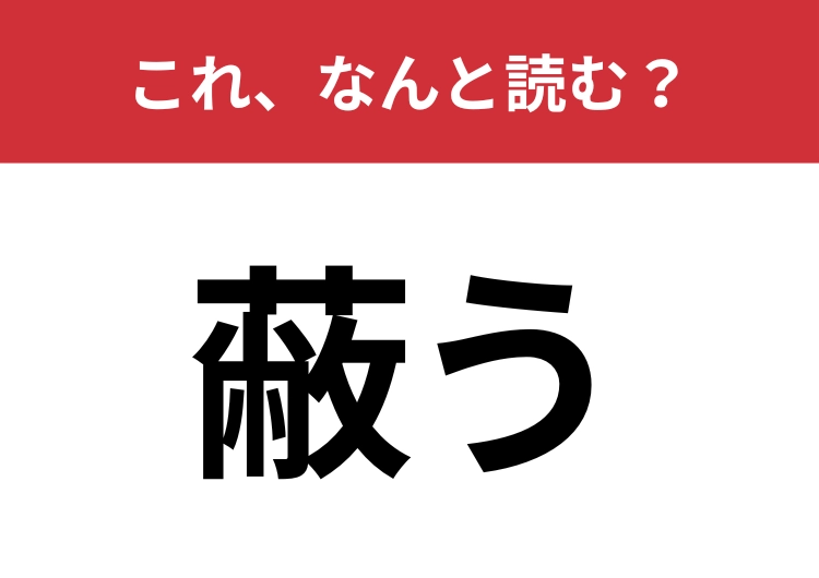 【蔽う】はなんと読む？何かを隠すイメージで！