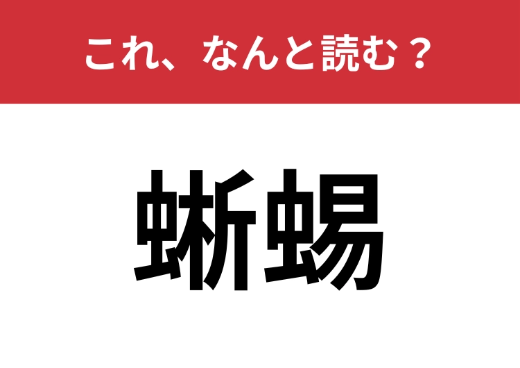 【蜥蜴】はなんと読む？意外にも身近なあの生き物！