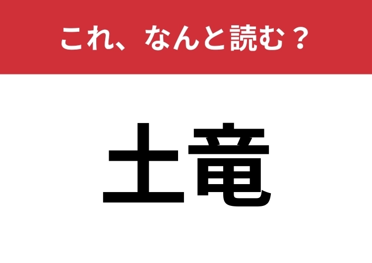 【土竜】はなんと読む？知っていたら博識！のメイン画像