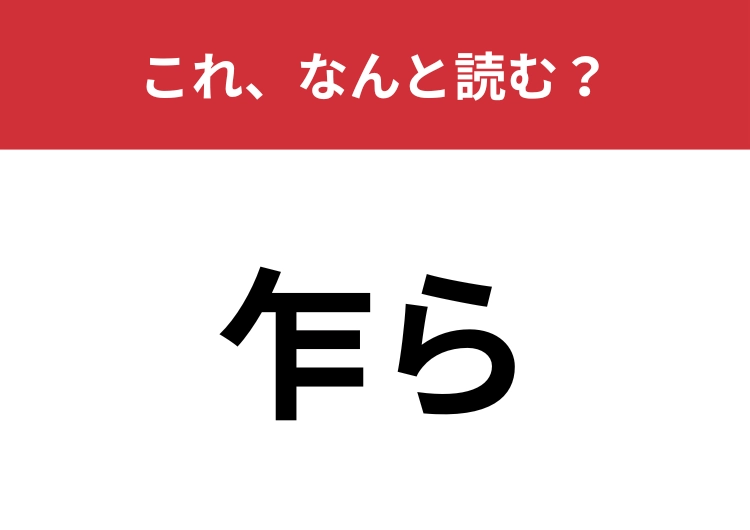 【乍ら】はなんと読む？日常生活でもよく使う言葉！