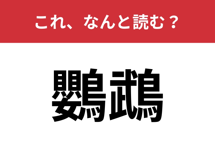 【鸚鵡】はなんと読む？大人なら分かってほしい！のメイン画像