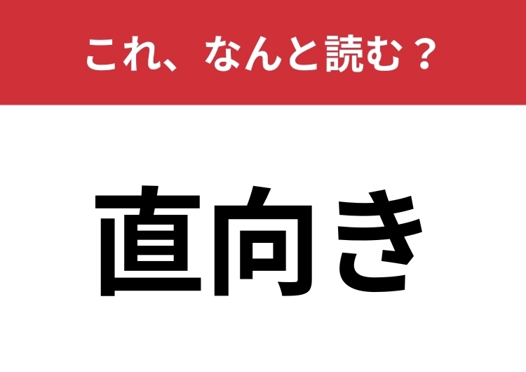 【直向き】はなんと読む?「ちょくむき」は間違いです!のメイン画像
