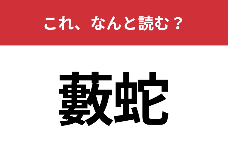 【藪蛇】はなんと読む？ことわざからできた言葉ですよ！