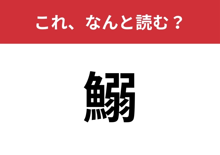 【鰯】はなんと読む？ややこしい魚へんクイズに挑戦！のメイン画像