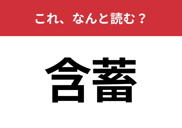 【含蓄】はなんと読む？趣があることを示す言葉！