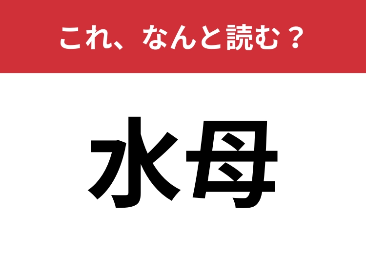 【水母】はなんと読む?水中に住むあの生き物をのこと!のメイン画像