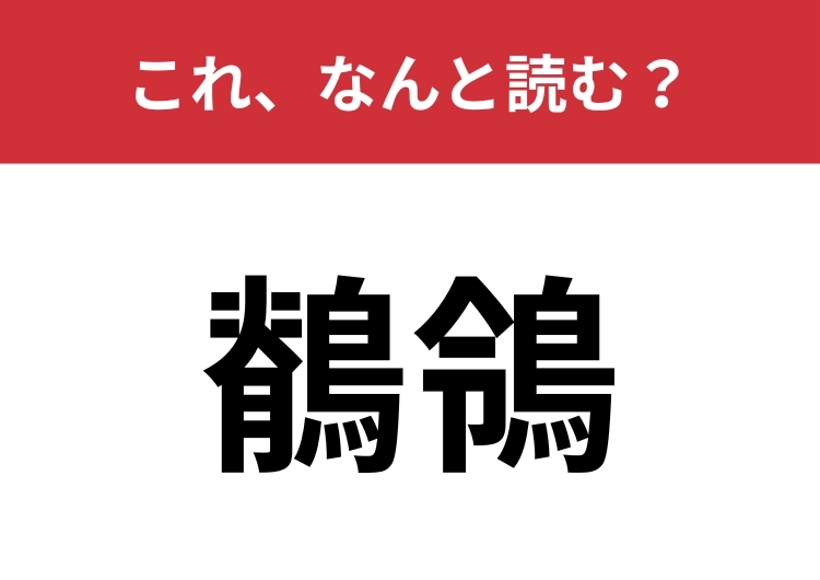 【鶺鴒】はなんと読む？読めたらなかなか教養派！のメイン画像