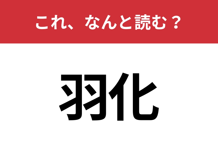 【羽化】はなんと読む?間違えずに読みたい二文字!のメイン画像