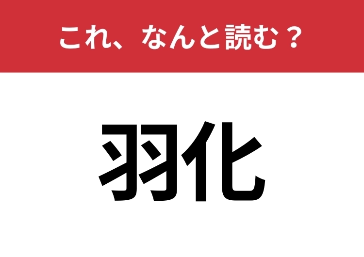 【羽化】はなんと読む？間違えずに読みたい二文字！のメイン画像