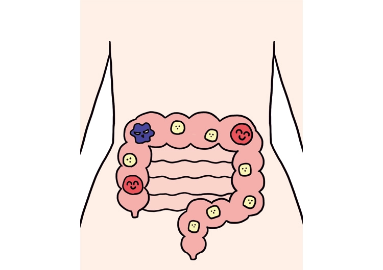 その不調、「腸」が原因かも!?腸内環境セルフチェックで健康度を診断