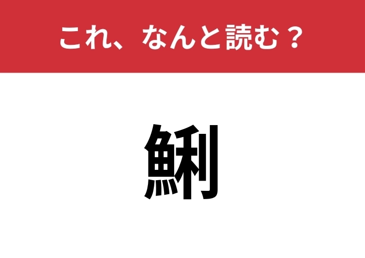 【鯏】はなんと読む？魚へんですが、魚ではなく貝！のメイン画像