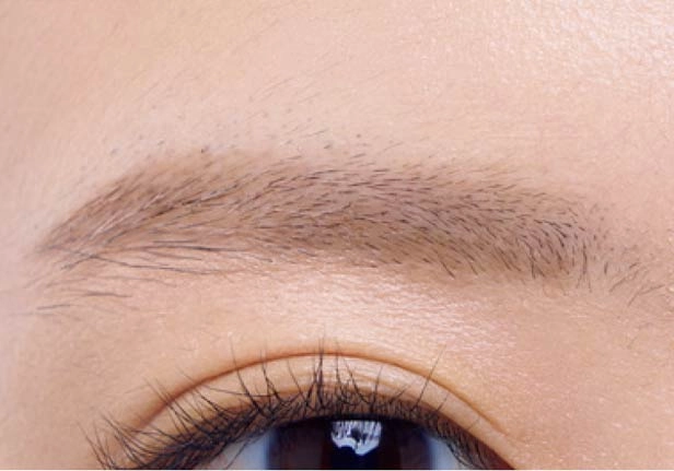 うす眉完成イメージ うす眉完成イメージ