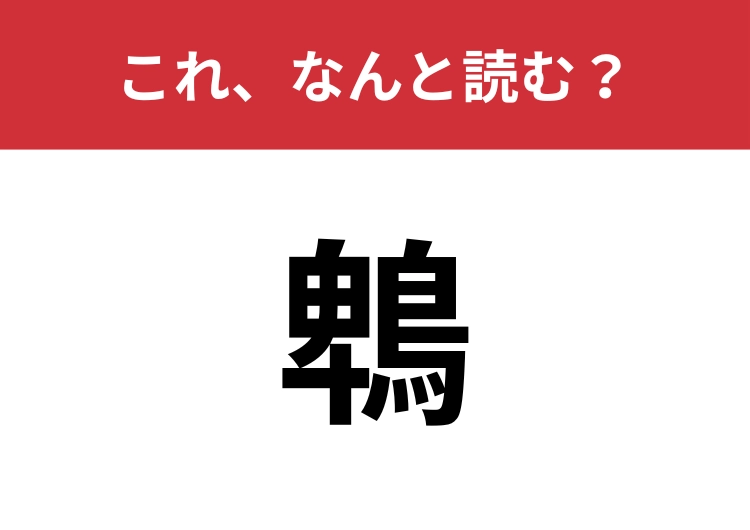 【鵯】はなんと読む？身近なあの鳥のこと！のメイン画像
