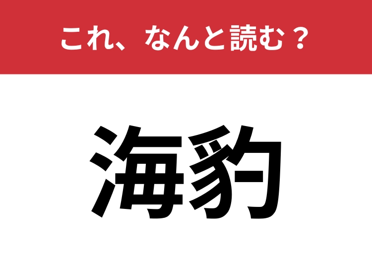 【海豹】はなんと読む?漢字に似合わず可愛い動物です!