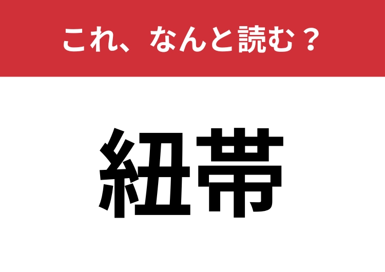 【紐帯】はなんと読む？五文字で読んでみて！