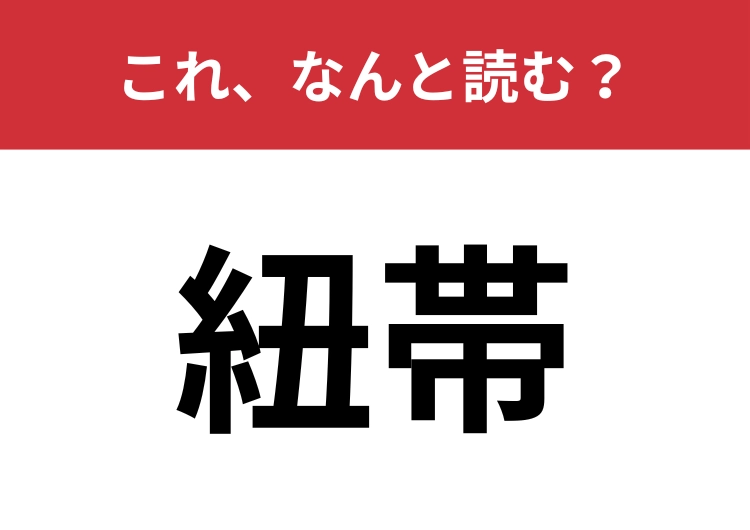 【紐帯】はなんと読む?社会を形づくる結びつきのこと!