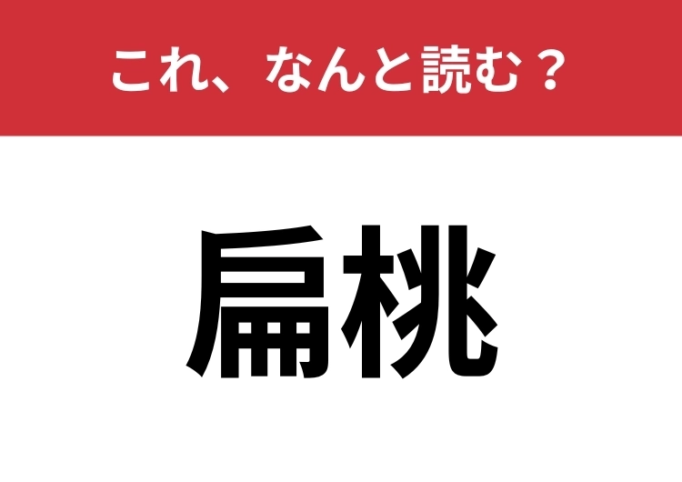 【扁桃】はなんと読む？間違えずに読みたい二文字！のメイン画像