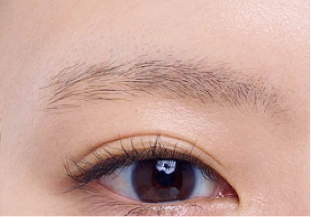 うす眉さんのBrfore うす眉さんのBrfore