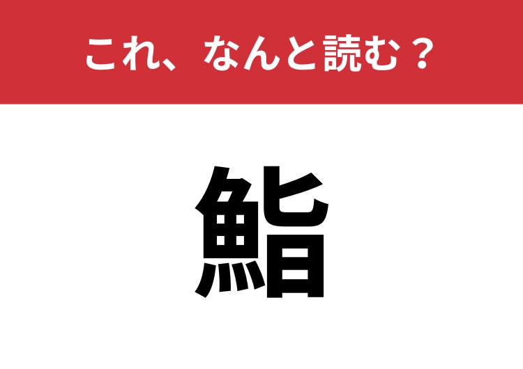 【鮨】はなんと読む？違う表し方なら知っているかも？