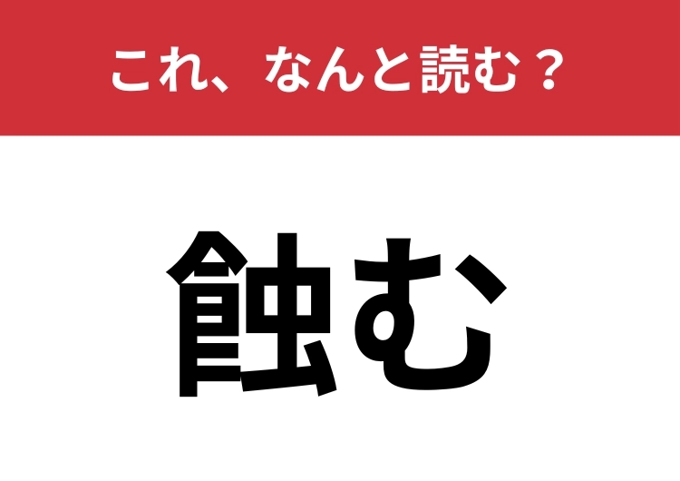 【蝕む】はなんと読む?病気が進行することを表す言葉!のメイン画像