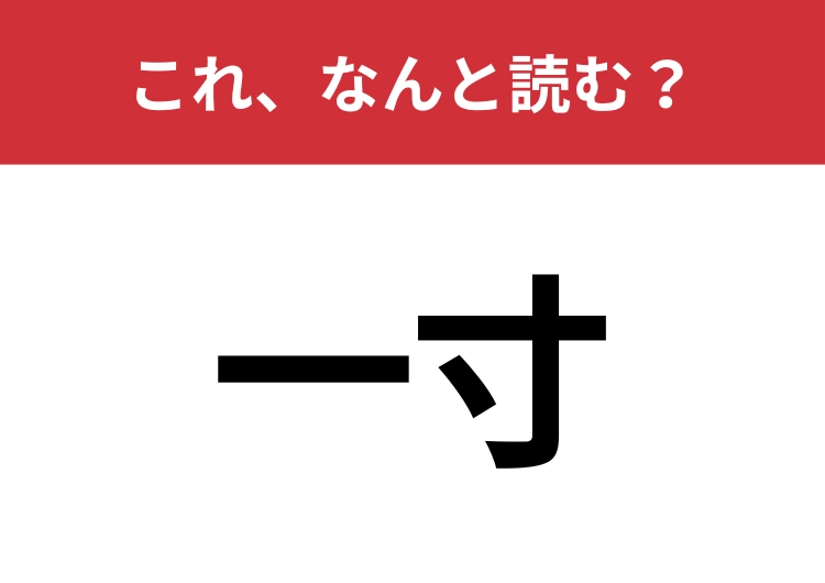 【一寸】はなんと読む？「いっすん」以外の読み方は？