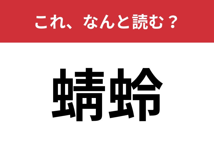 【蜻蛉】はなんと読む？秋を象徴する昆虫！のメイン画像