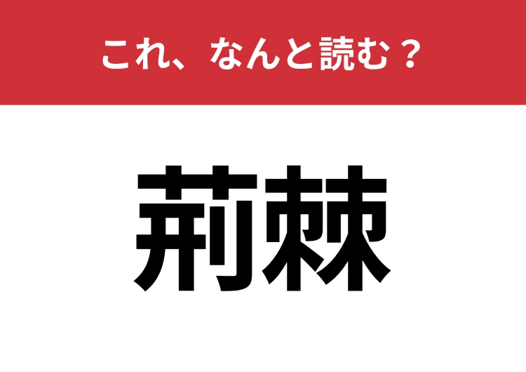 【荊棘】はなんと読む？困難や障害を意味する言葉です！