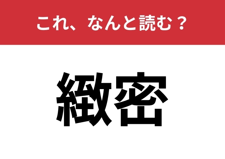 【緻密】はなんと読む?細かくぬかりがないことを意味します!のメイン画像