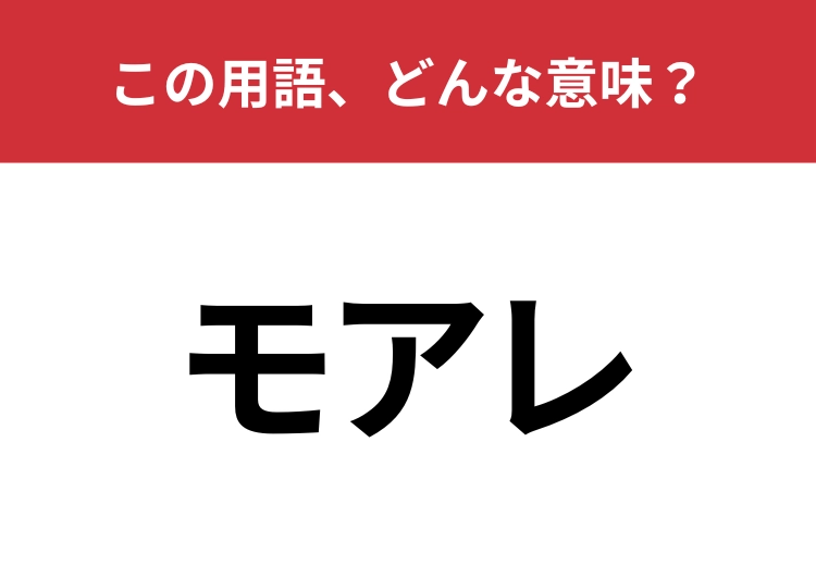 【業界用語クイズ】「モアレ」はどんな意味?スマホのカメラで見たことがあるかも?