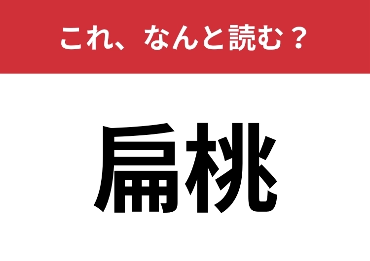 【扁桃】はなんと読む？「扁桃腺」と同じ字！のメイン画像