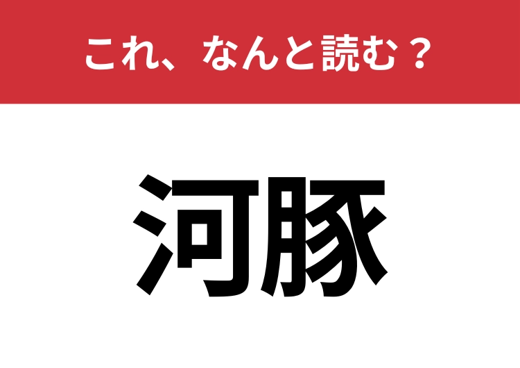 【河豚】はなんと読む?ぷっくり膨らむあの魚!のメイン画像