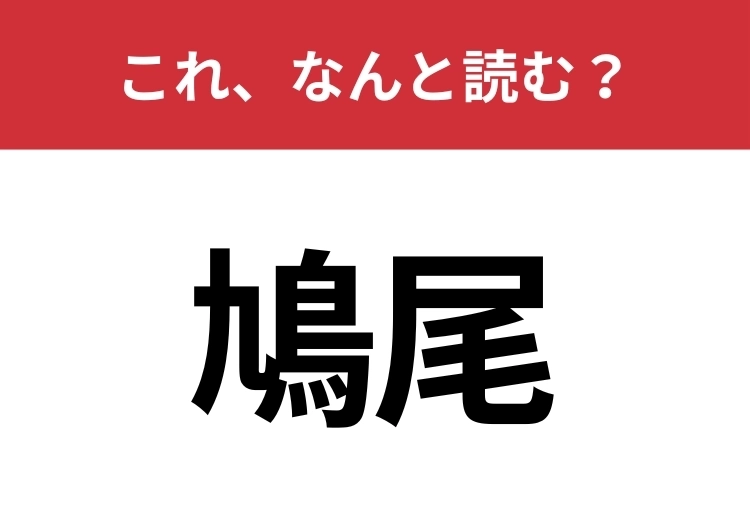 【鳩尾】はなんと読む？鳥の尾に形が似ている体の一部です！のメイン画像