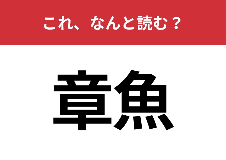 【章魚】はなんと読む？海にいるあの生き物！