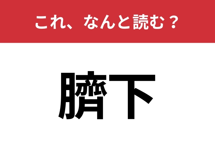 【臍下】はなんと読む？見た目から意味を想像してみよう！のメイン画像