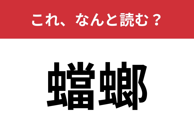 【蟷螂】はなんと読む?なじみ深い昆虫を表します!のメイン画像