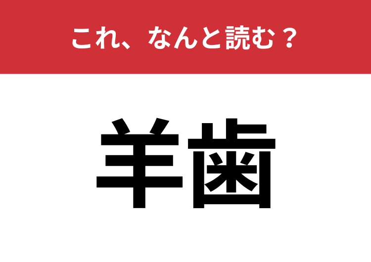 【羊歯】はなんと読む？形が特徴的な植物です！