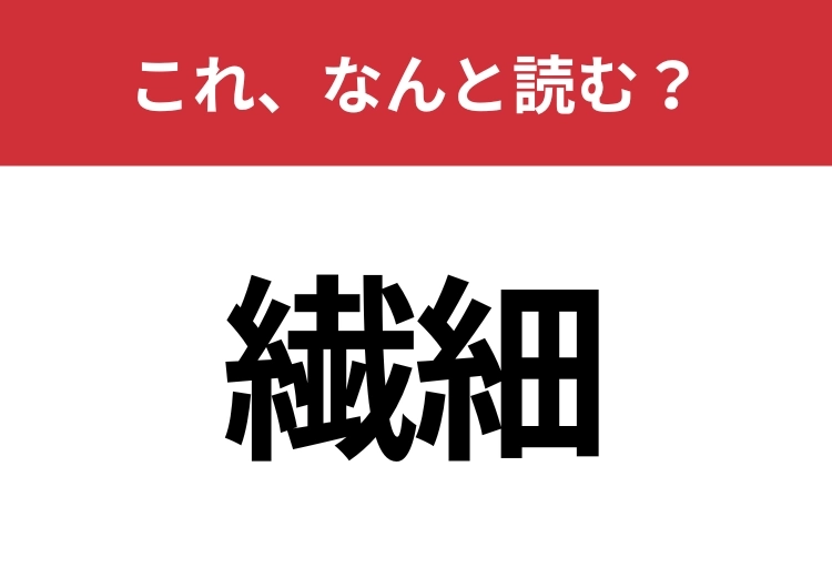 【繊細】はなんと読む?間違えずに読みたい二文字!のメイン画像