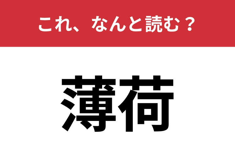 【薄荷】はなんと読む？爽やかな香りのハーブの名前です！