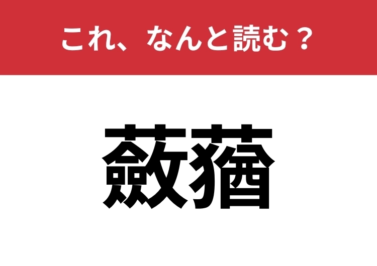 【蘞蕕】はなんと読む？知っていたら博識！のメイン画像